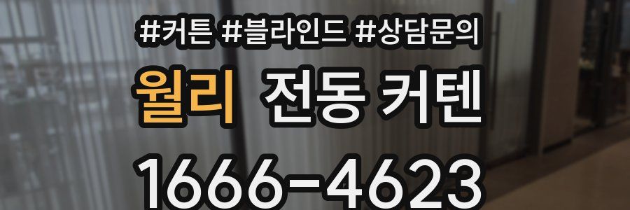 월리 전동 커텐
