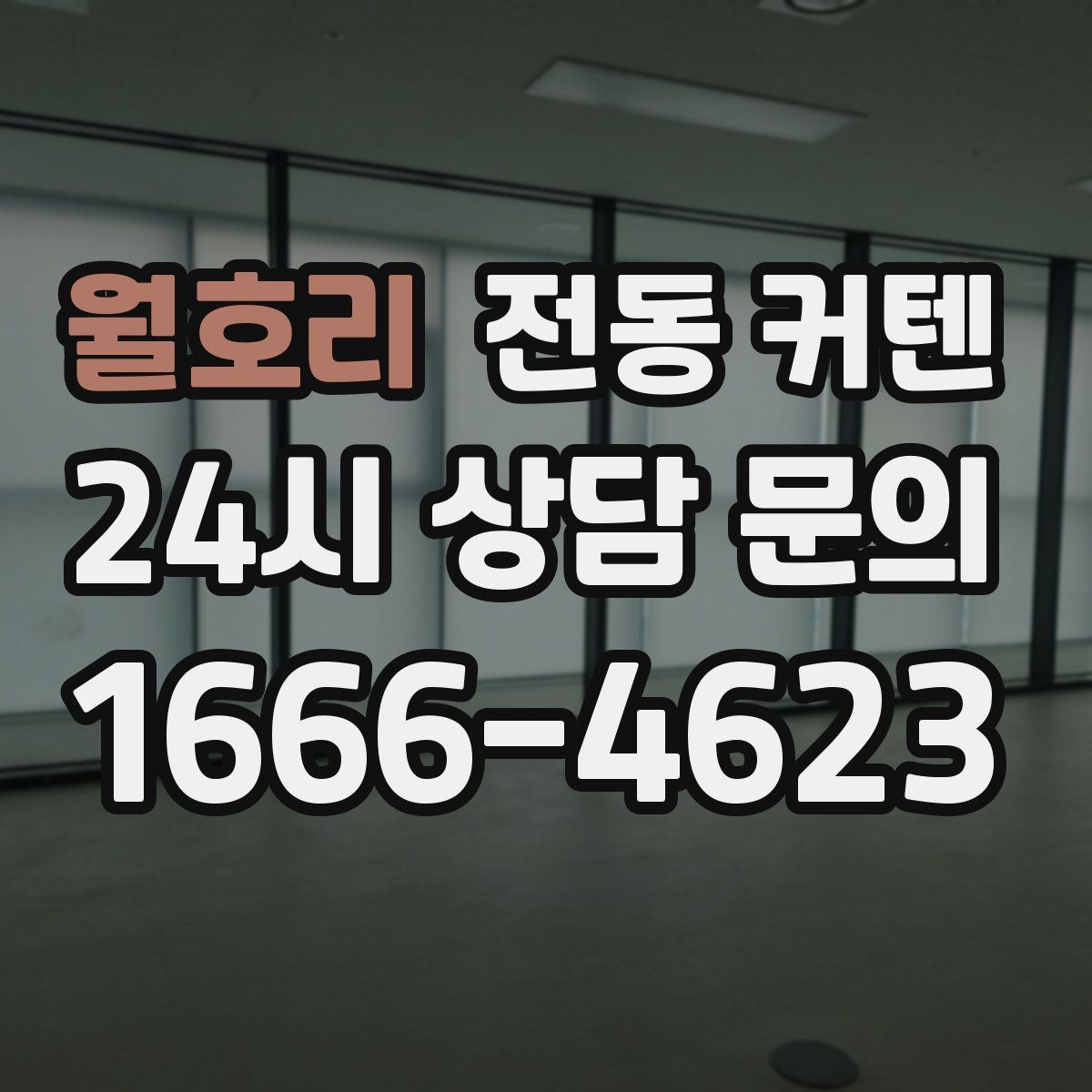 월호리 전동 커텐