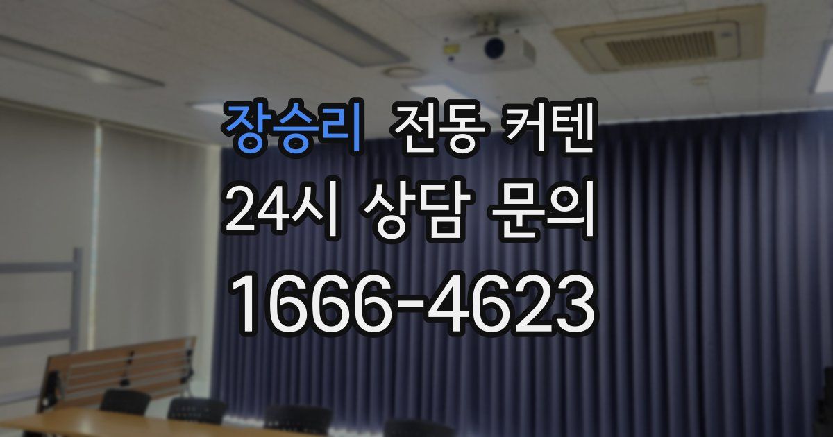 장승리 전동 커텐