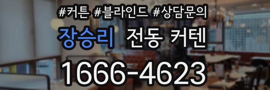 장승리 전동 커텐