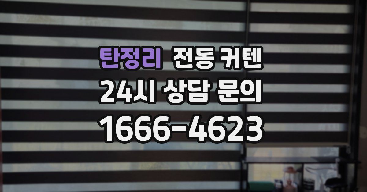 탄정리 전동 커텐