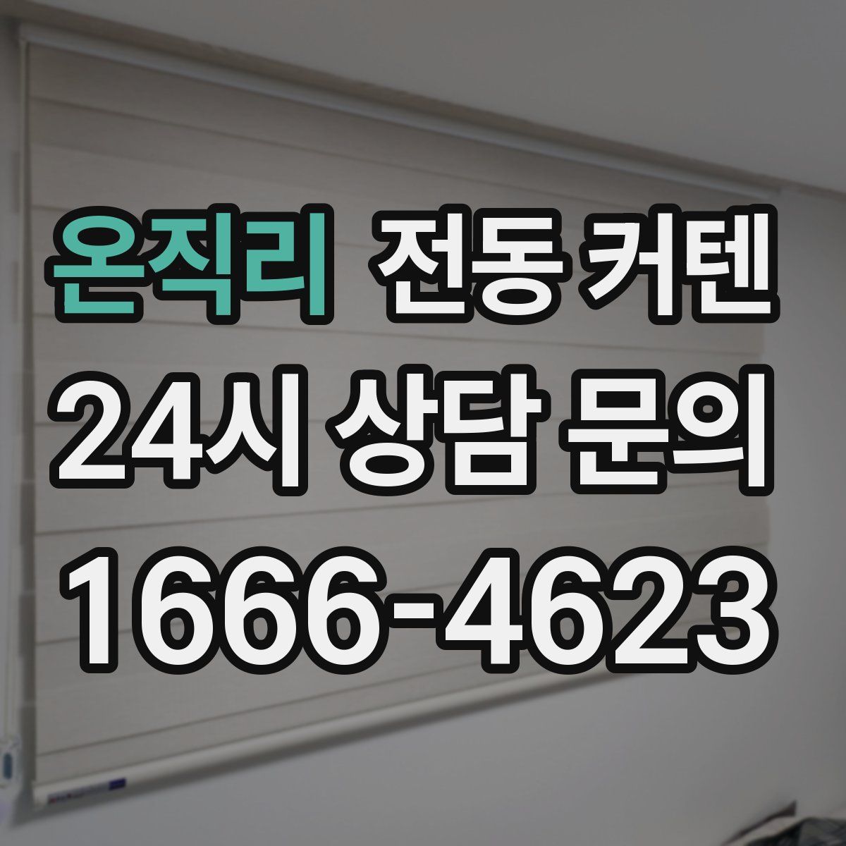 온직리 전동 커텐