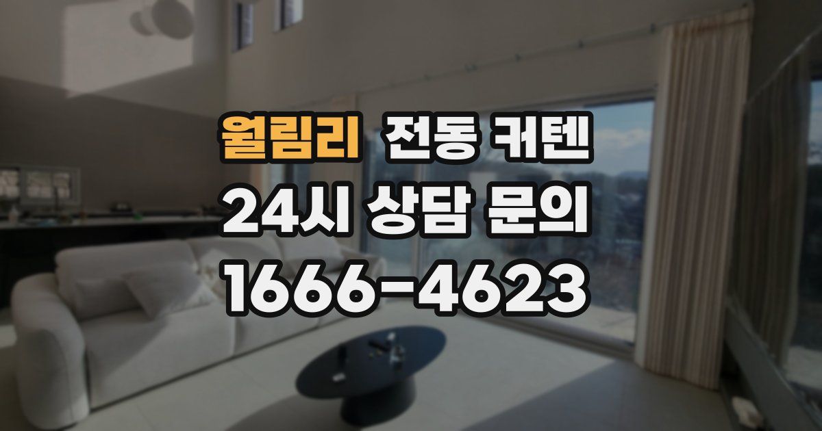 월림리 전동 커텐