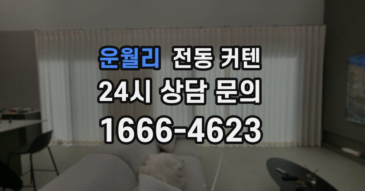 운월리 전동 커텐