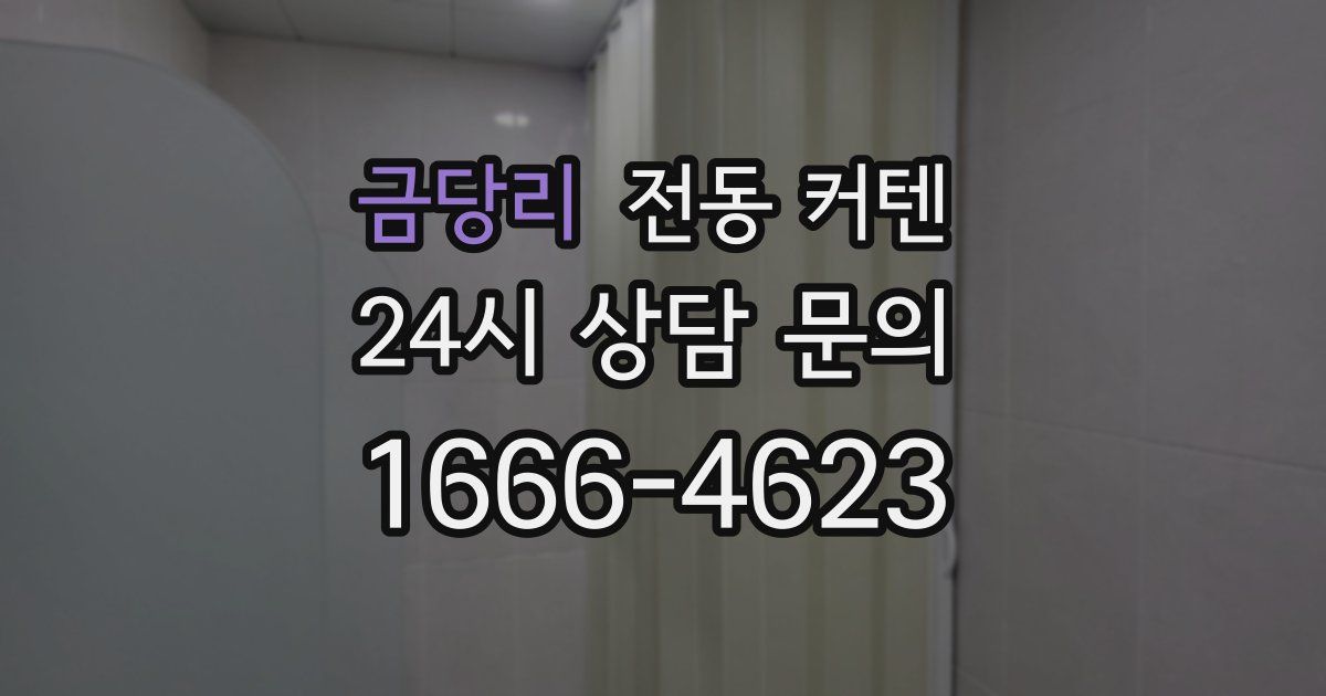 금당리 전동 커텐
