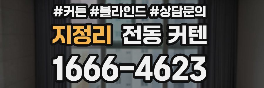 지정리 전동 커텐