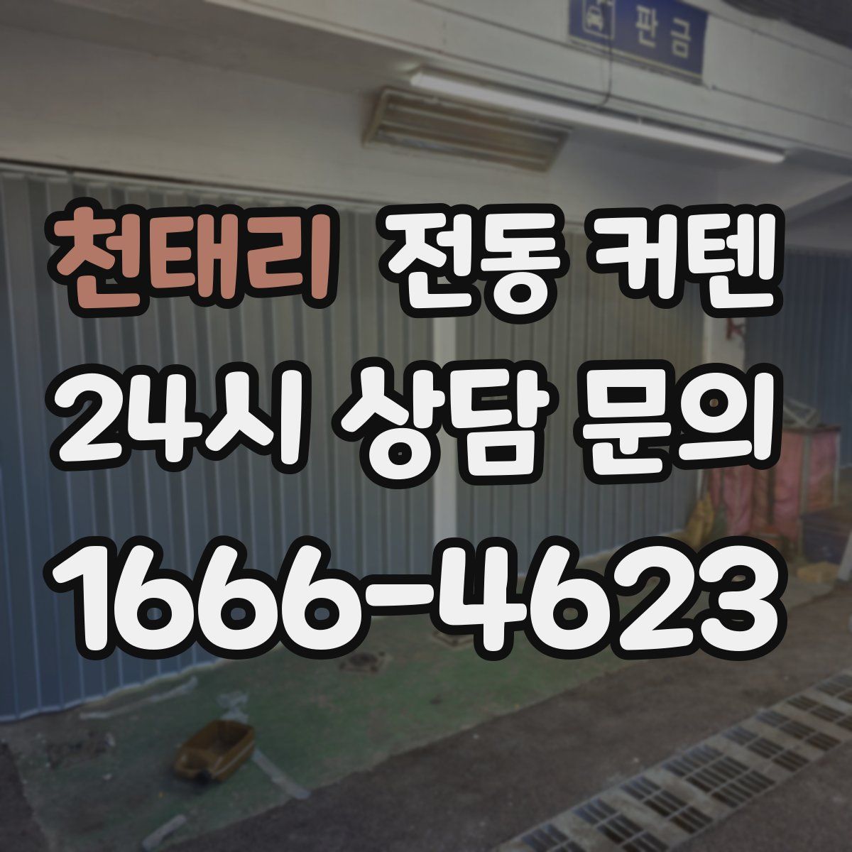 천태리 전동 커텐
