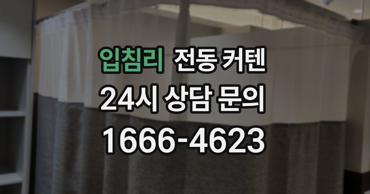 입침리 전동 커텐