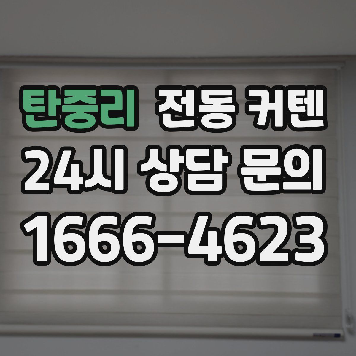 탄중리 전동 커텐