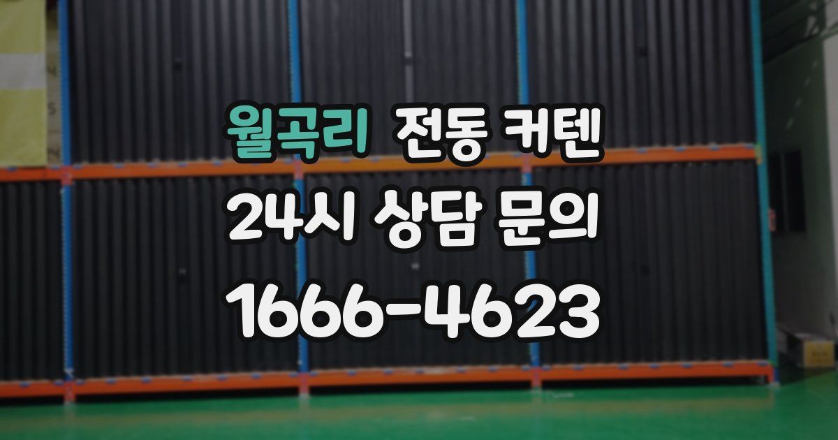 월곡리 전동 커텐