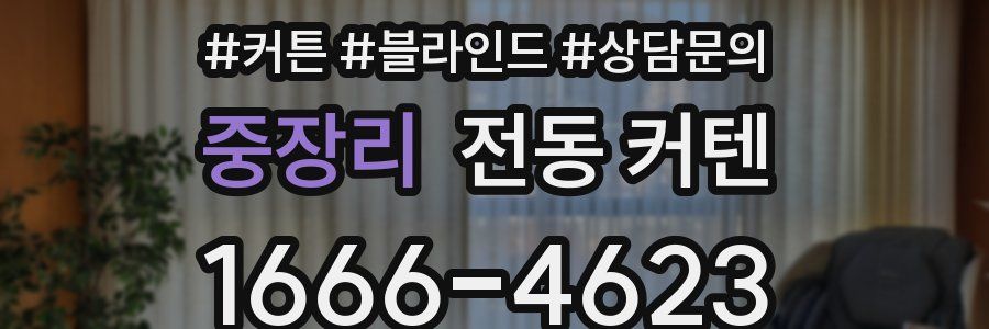 중장리 전동 커텐