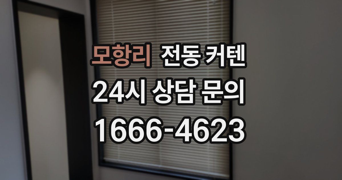 모항리 전동 커텐