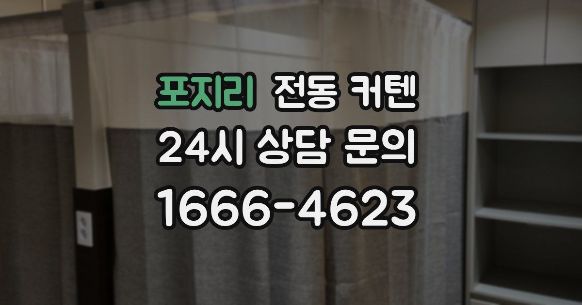 포지리 전동 커텐