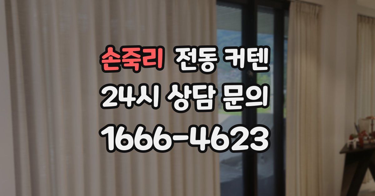손죽리 전동 커텐
