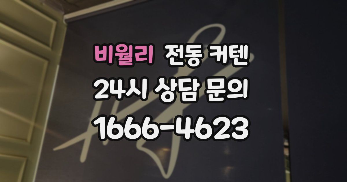 비월리 전동 커텐