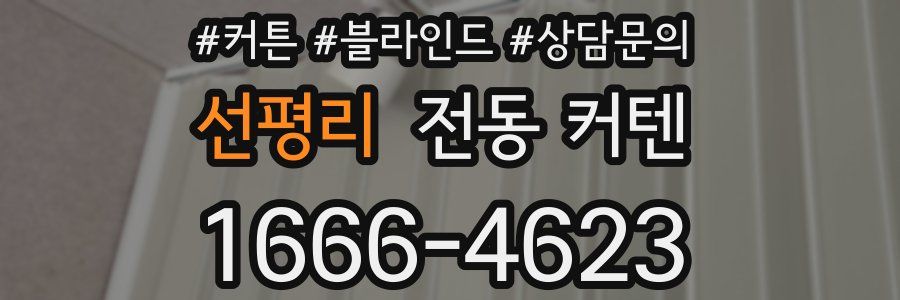 선평리 전동 커텐