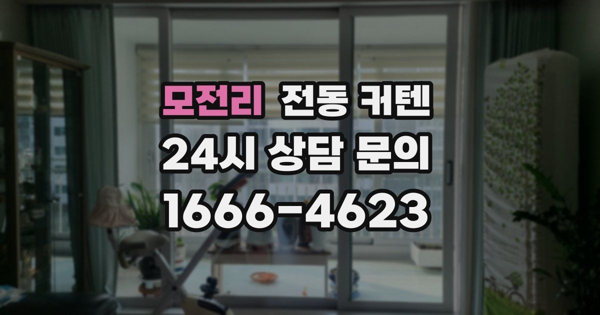 모전리 전동 커텐