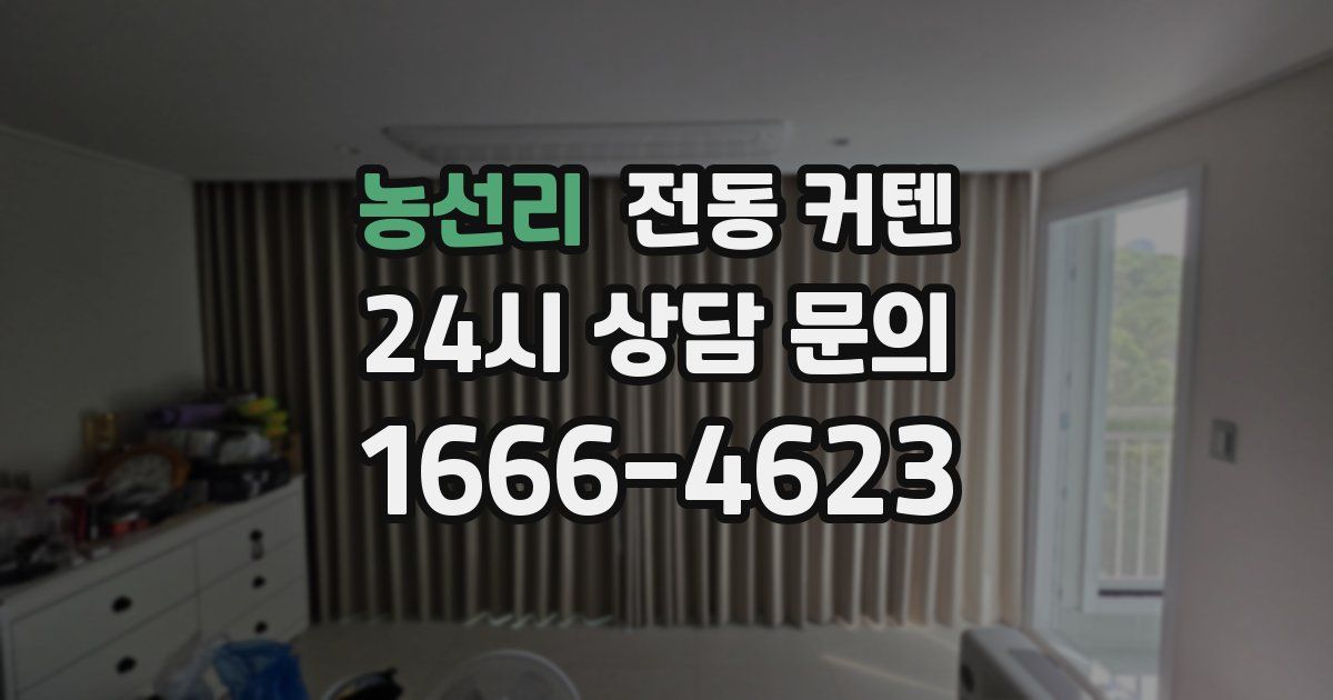 농선리 전동 커텐