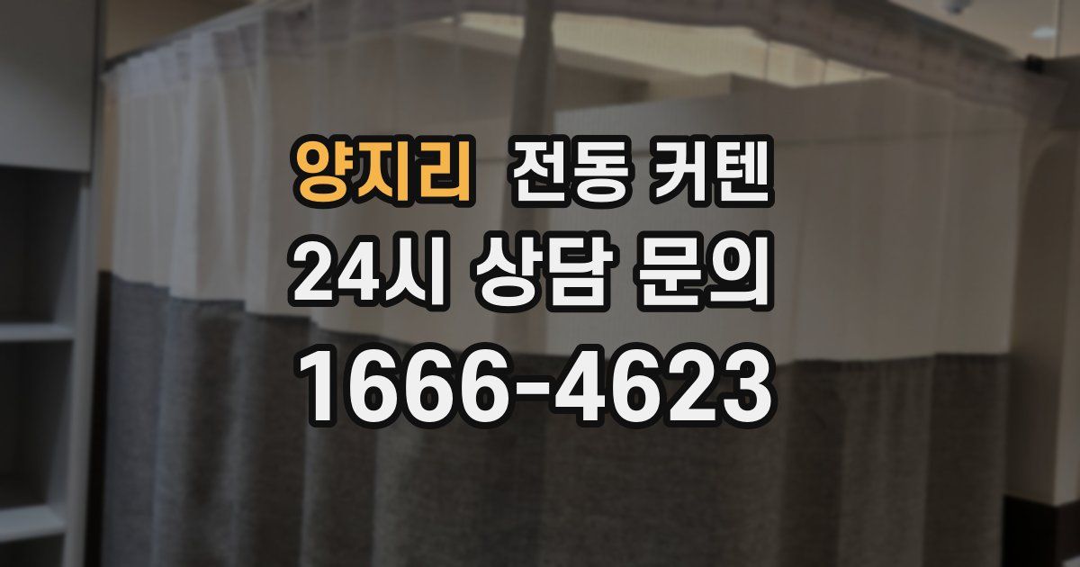 양지리 전동 커텐