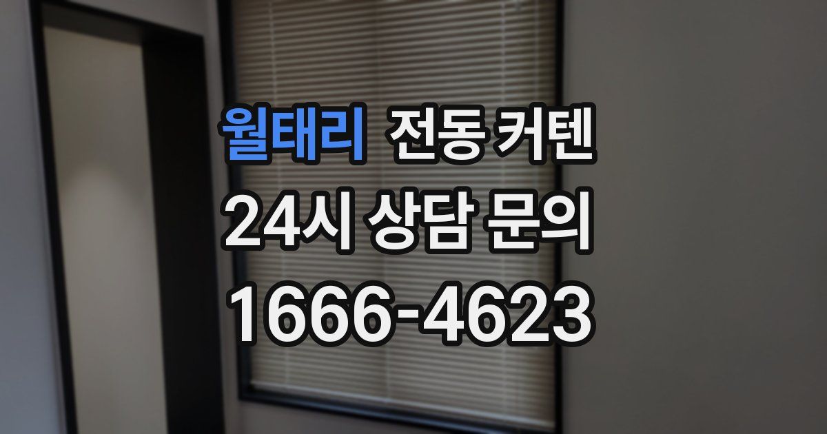월태리 전동 커텐
