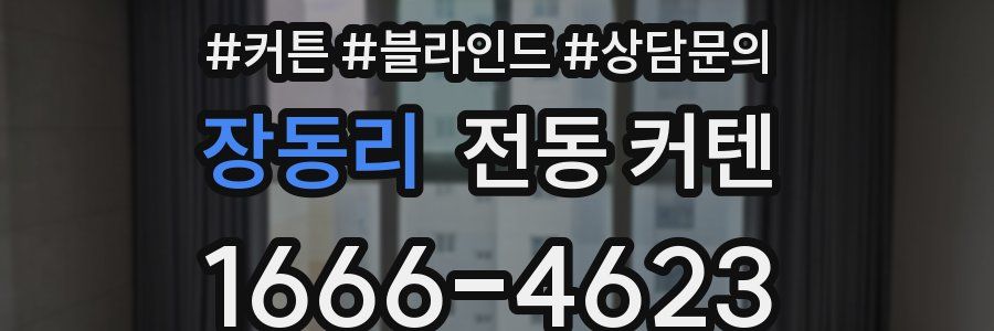 장동리 전동 커텐
