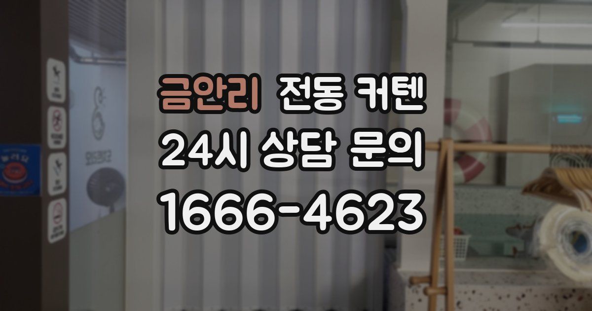 금안리 전동 커텐