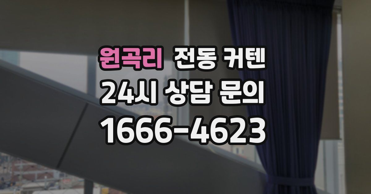 원곡리 전동 커텐