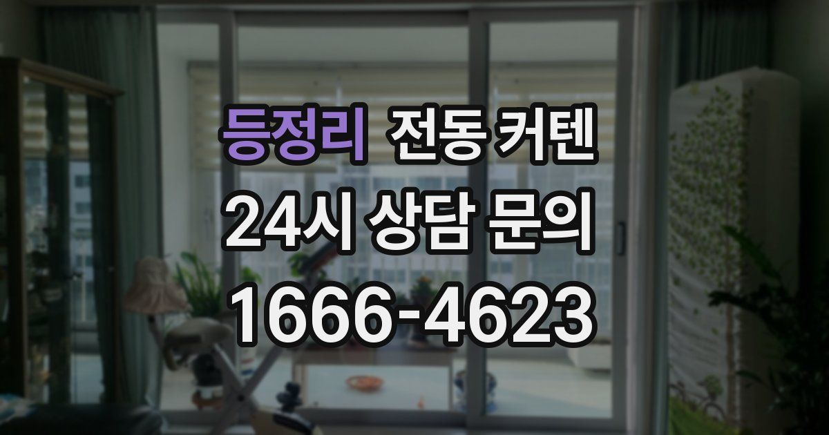 등정리 전동 커텐