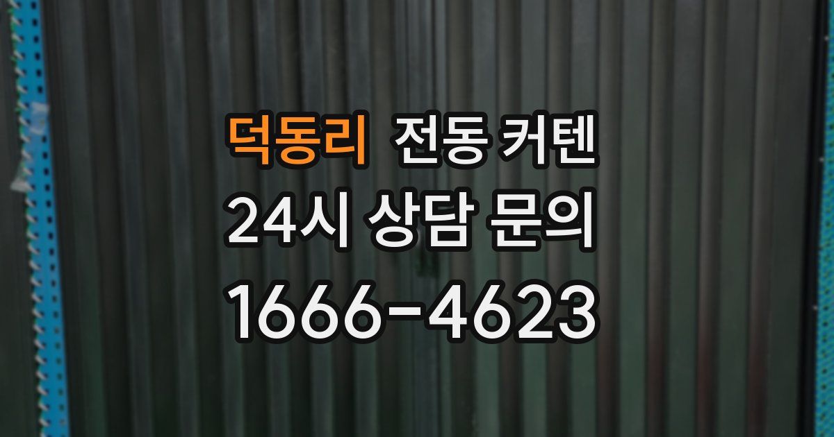 덕동리 전동 커텐