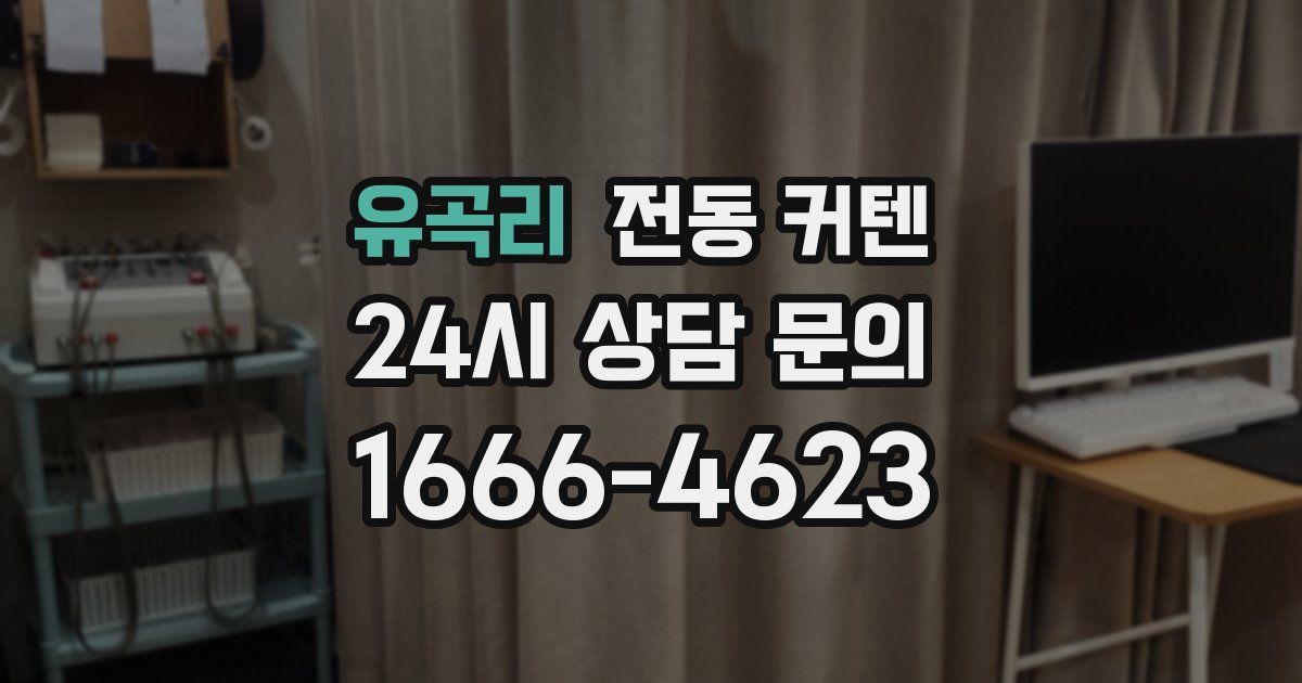 유곡리 전동 커텐