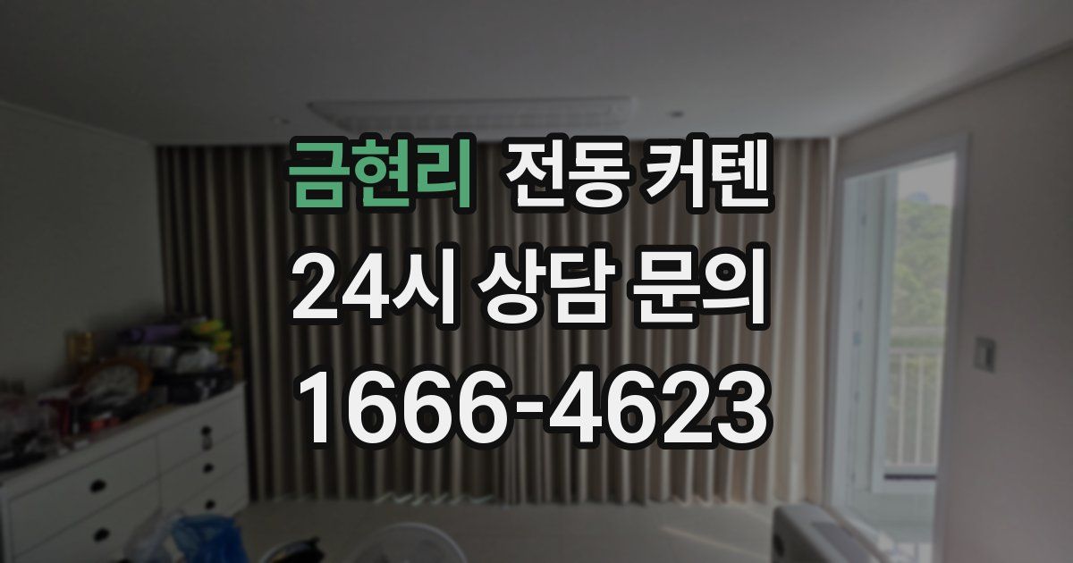 금현리 전동 커텐