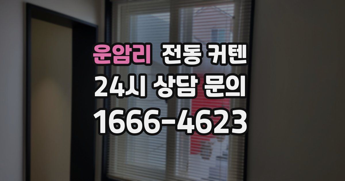 운암리 전동 커텐