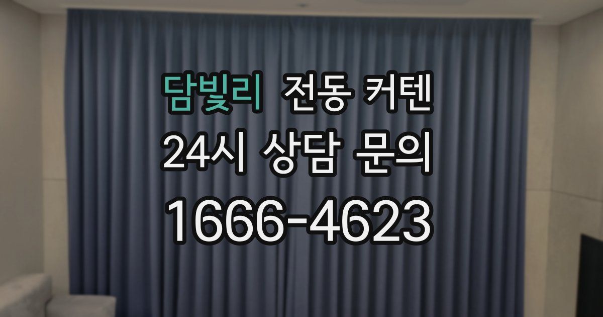 담빛리 전동 커텐