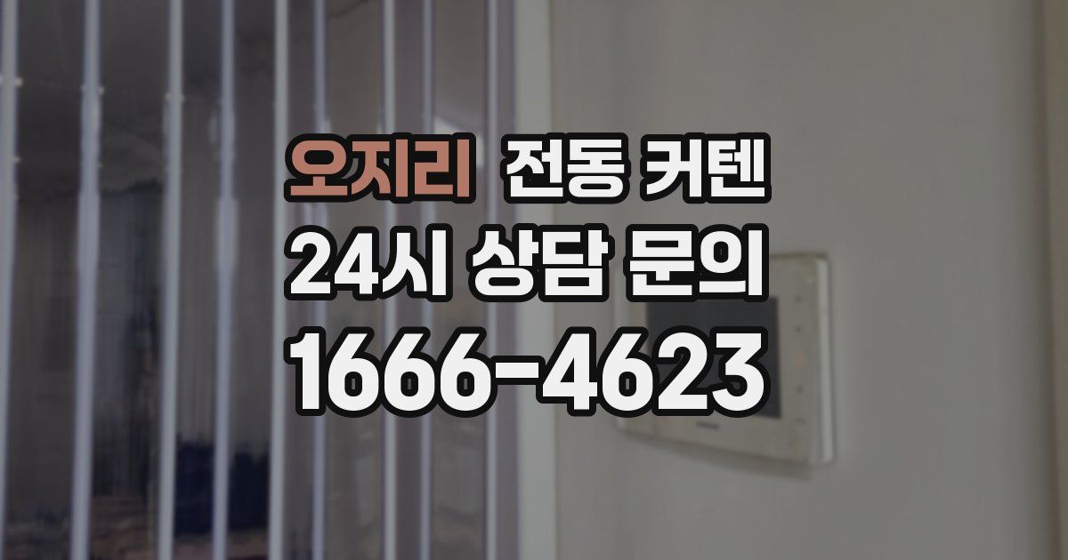오지리 전동 커텐