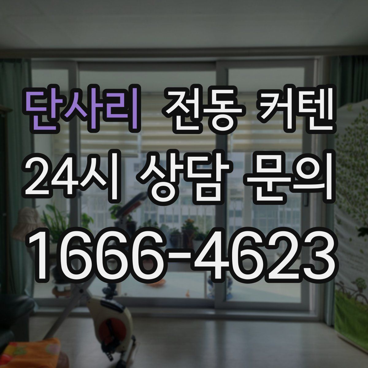 단사리 전동 커텐