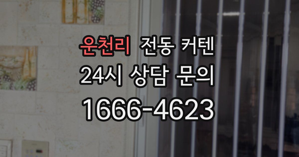 운천리 전동 커텐