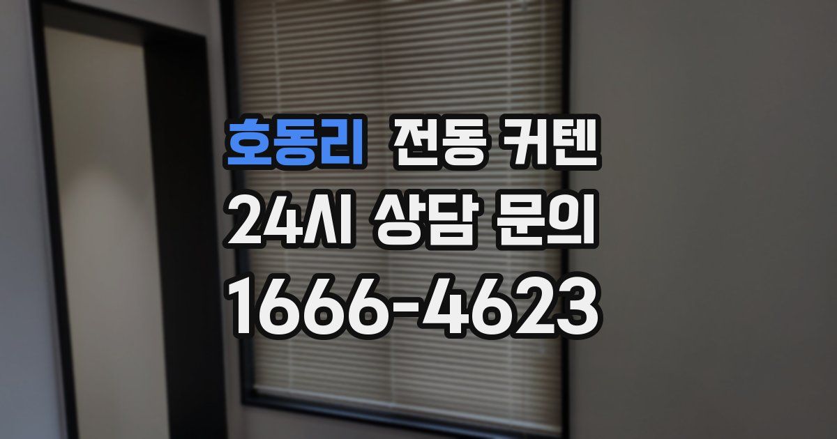 호동리 전동 커텐