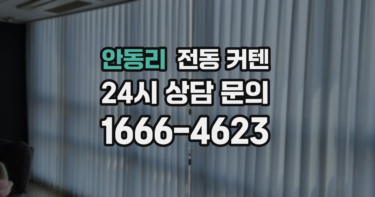 안동리 전동 커텐