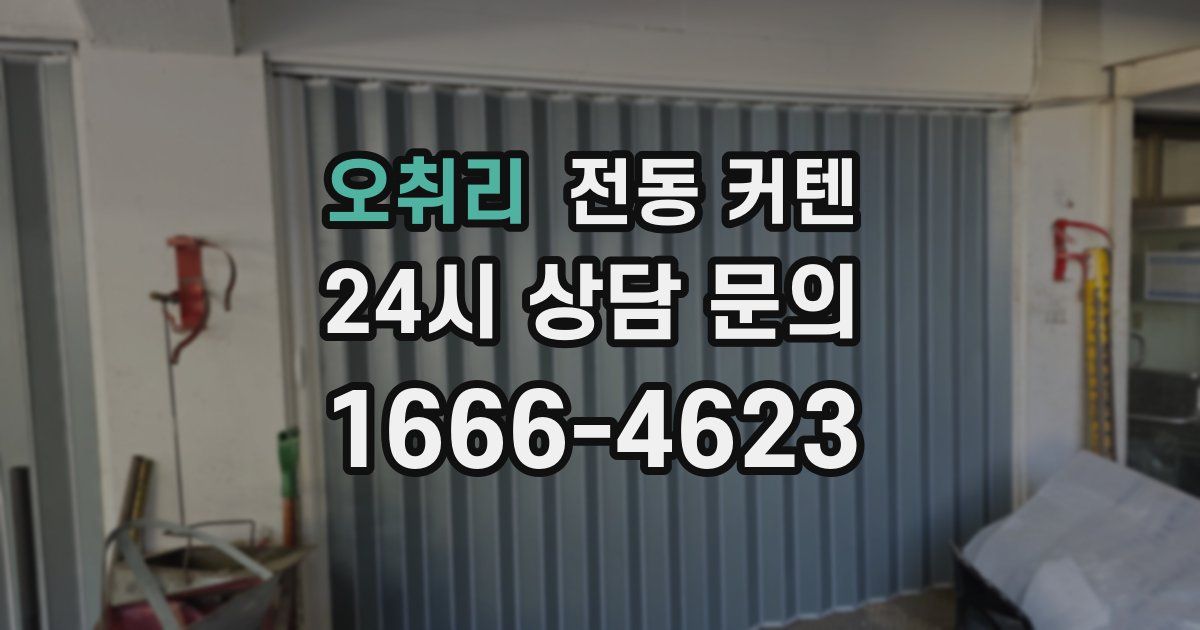 오취리 전동 커텐