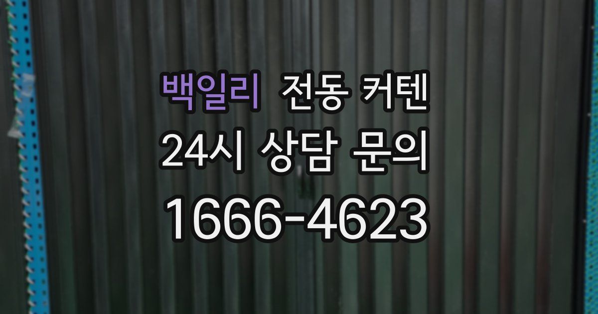 백일리 전동 커텐