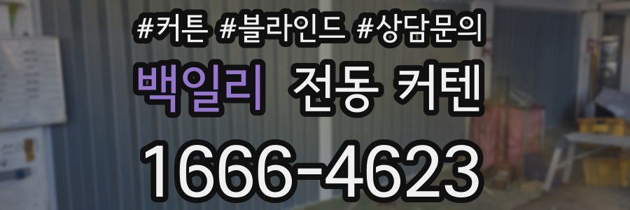 백일리 전동 커텐
