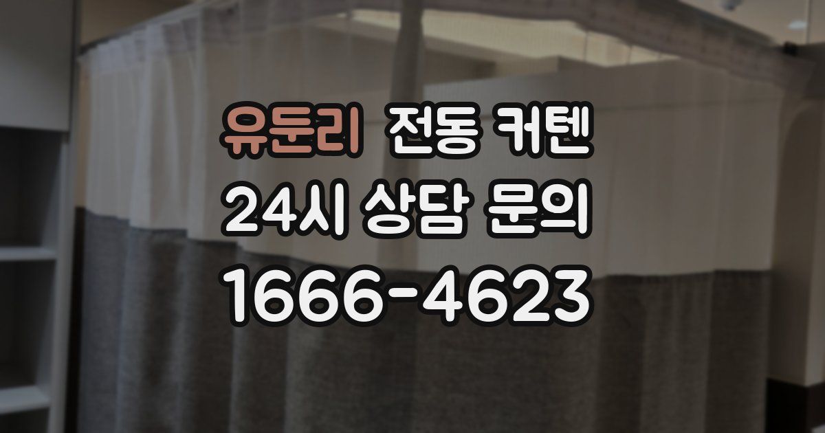 유둔리 전동 커텐