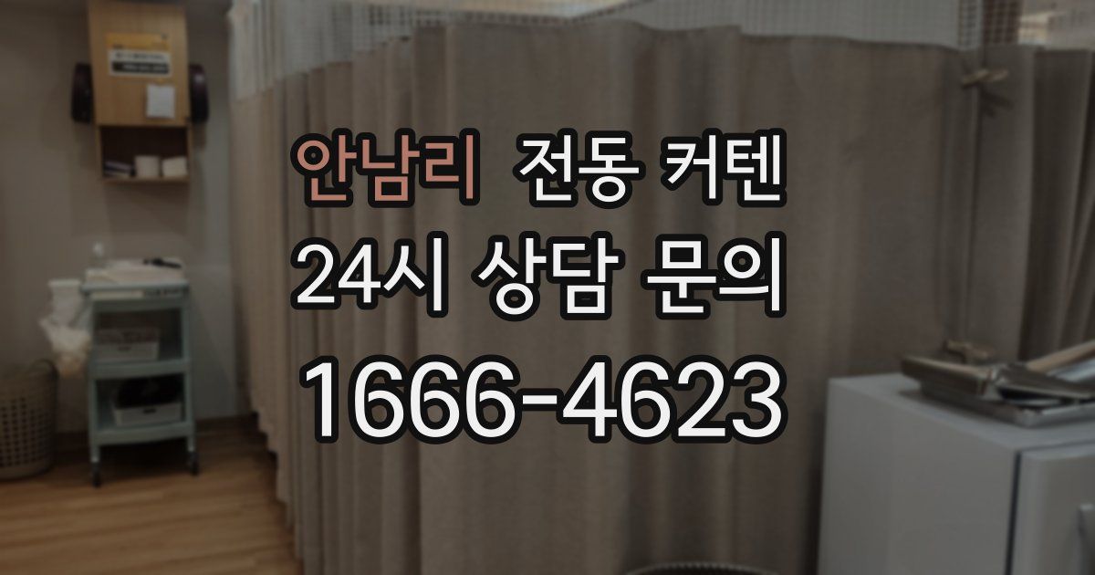 안남리 전동 커텐