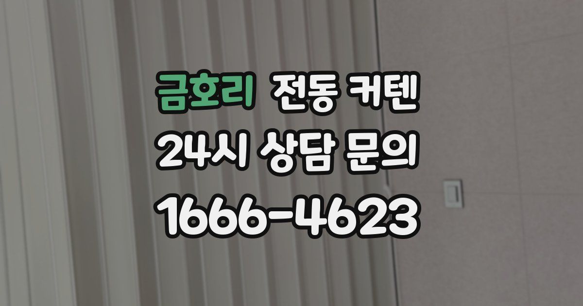 금호리 전동 커텐