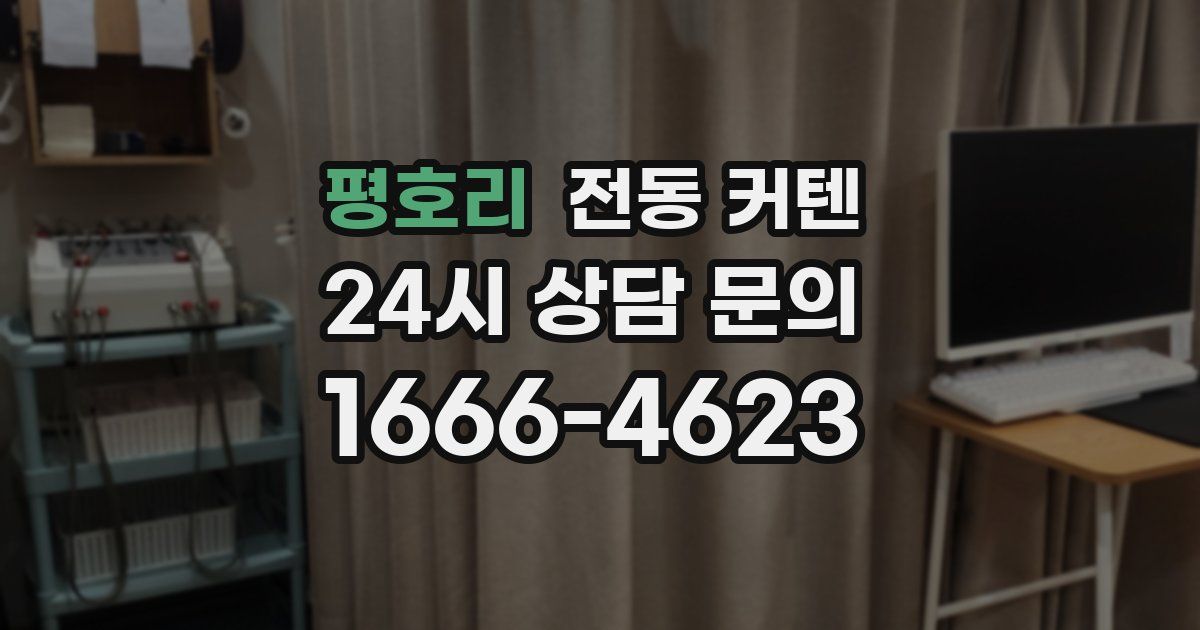 평호리 전동 커텐