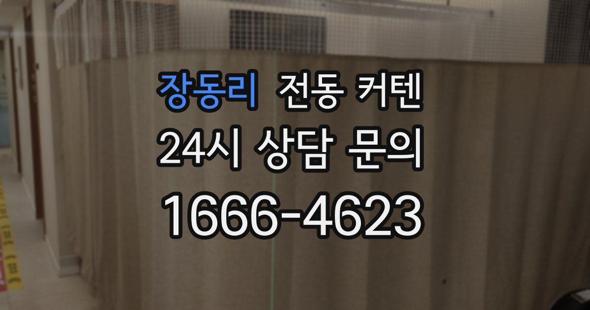 장동리 전동 커텐