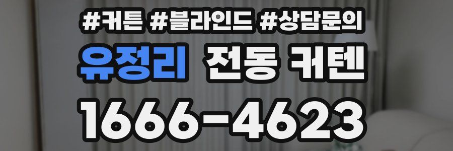 유정리 전동 커텐