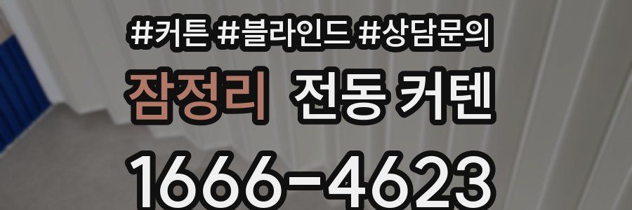 잠정리 전동 커텐