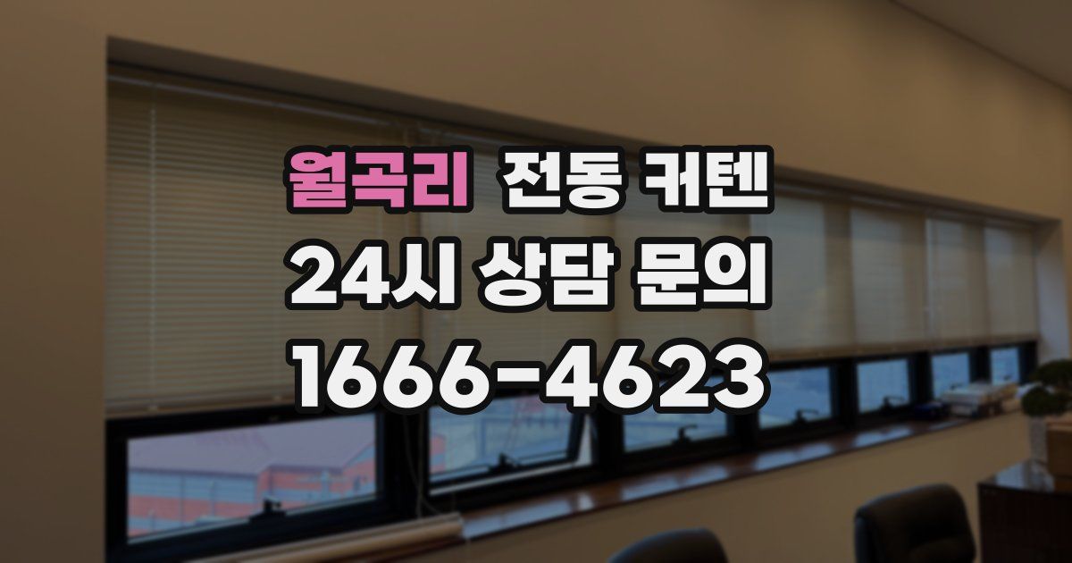 월곡리 전동 커텐