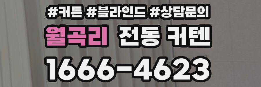 월곡리 전동 커텐